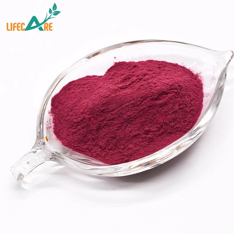highest quality pure lycopene powder